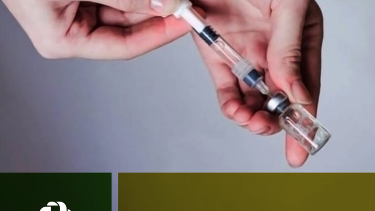 Febre Amarela – Informativo