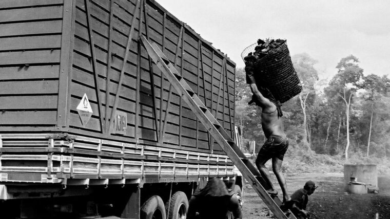 OIT atua junto com governos, de organizações de trabalhadores e de empregadores, contra trabalho forçado e escravidão moderna